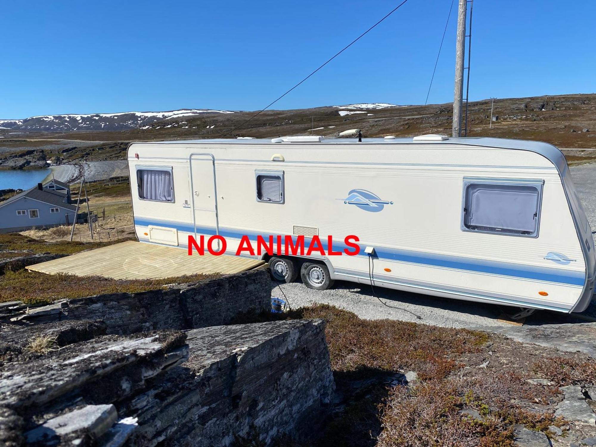 Repvag Overnatting Nordkapp Room photo
